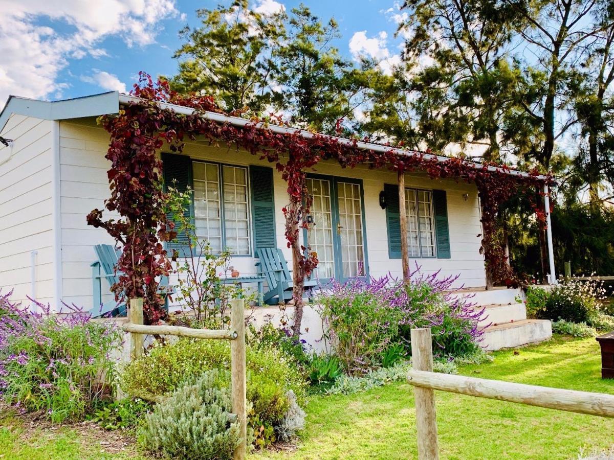 Cheverells Farm Grabouw Bagian luar foto