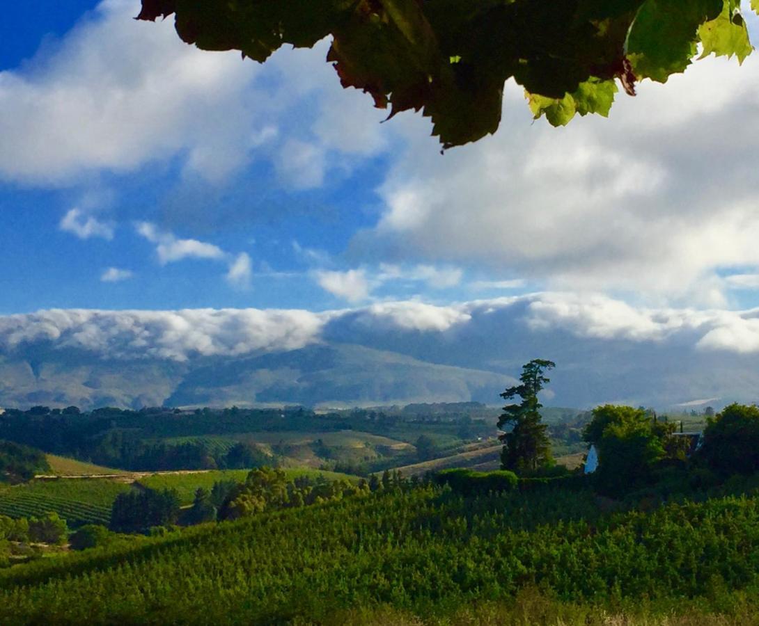 Cheverells Farm Grabouw Bagian luar foto