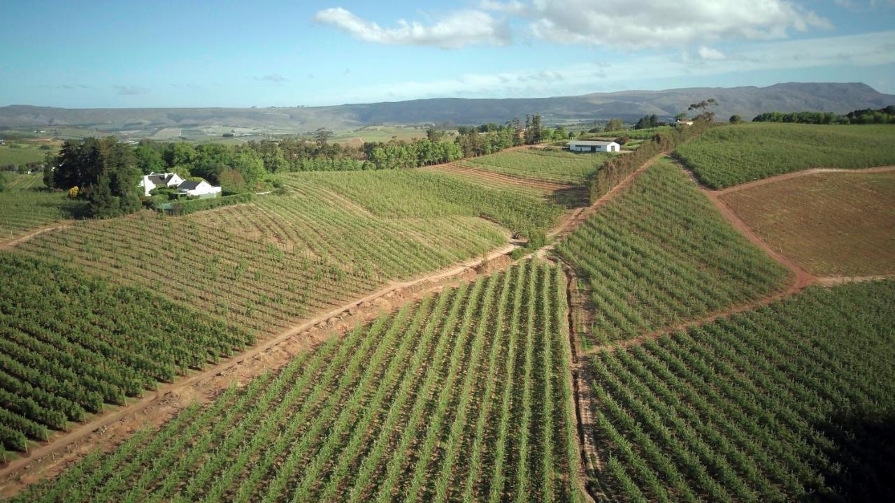 Cheverells Farm Grabouw Bagian luar foto