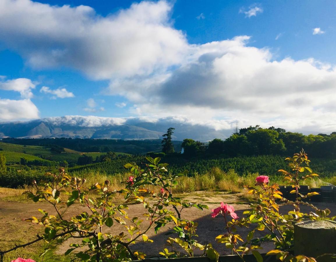 Cheverells Farm Grabouw Bagian luar foto