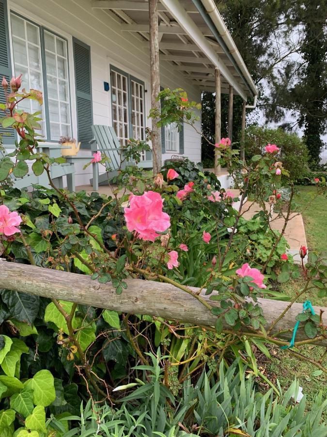 Cheverells Farm Grabouw Bagian luar foto
