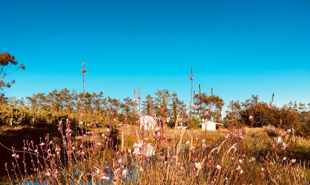 Cheverells Farm Grabouw Bagian luar foto