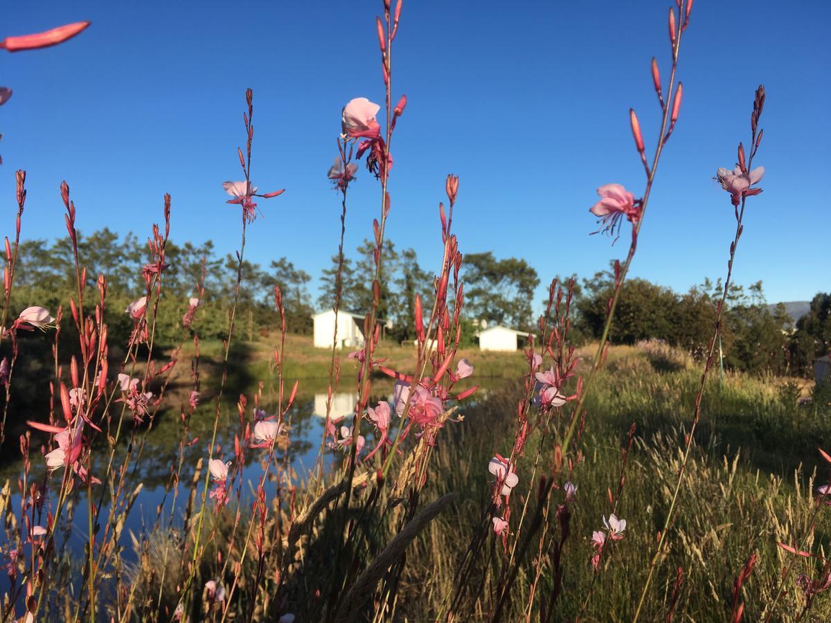 Cheverells Farm Grabouw Bagian luar foto